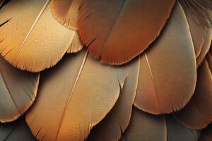 Detailed close-up of colorful bird feathers showcasing intricate textures and patterns photo