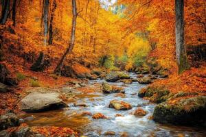 Beautiful autumn foliage with a gentle stream flowing through a vibrant forest in the mountains photo