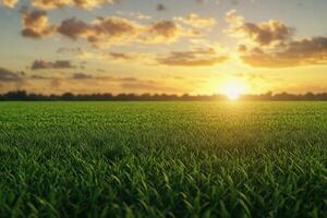 Golden sunset over a lush green field with clouds in the sky during evening hours photo