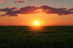 Golden sunset over a serene green field with clouds in the sky during dusk photo