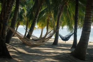 Relaxing hammocks under palm trees along a sunny beach in tranquil coastal paradise photo