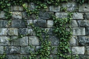 Overgrown stone wall covered with green ivy during daylight in a serene outdoor setting photo