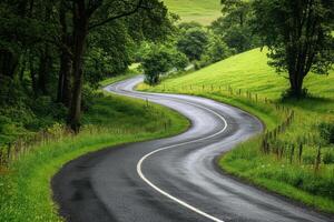 A winding road meanders through lush green fields and trees in a serene landscape photo