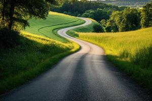 Winding country road through lush green fields during golden hour in a tranquil landscape photo