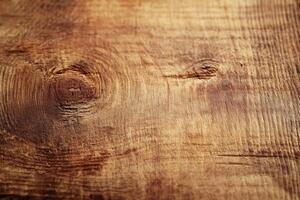 Natural wooden surface showcasing rich textures and grains in warm tones during daylight photo