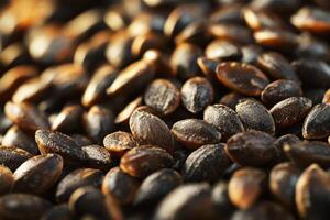 Close-up view of various pumpkin seeds on a textured surface during late afternoon light photo
