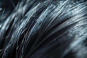 Close-up of shiny black hair strands illuminated by soft light in a cozy indoor setting photo