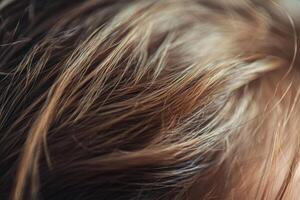 Close-up view of textured hair showcasing various shades and natural highlights in soft lighting photo