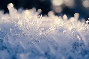 Intricate frost crystals glimmer in the morning sunlight on a chilly winter day photo