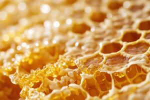 Close-up view of honeycomb showing golden honey dripping from the cells in a natural setting photo