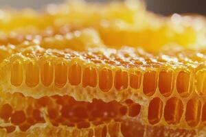 Close-up view of honeycomb highlighting the intricate structure and golden hue of honey photo