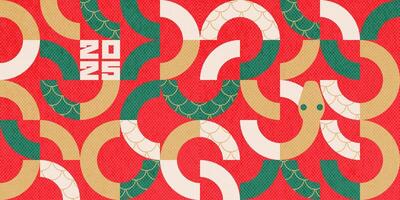 Chinese New Year 2025 abstract geometric design with snake, simple geometric shapes in bright palette. background for banner, cover. Tile style vector