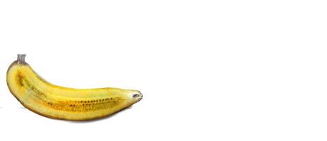 Half banana insulated. Ripe yellow banana on a white background. Fresh fruit with copy space photo
