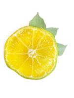 Lemon isolated. Round slice of ripe lemon with leaves on a white background. Fresh fruits with copy space. photo
