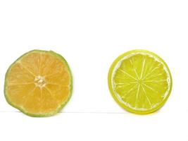 Lemon isolated.2 Round slice of ripe lemon on a white background. Fresh fruits with copy space photo