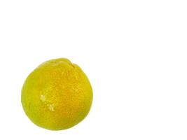 Citrus fruits isolated. single object of Lemon or lime on a white background. almost cooked photo