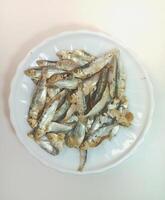 Ikan asin or dried salted fish on white plate isolated on white background with copy space photo