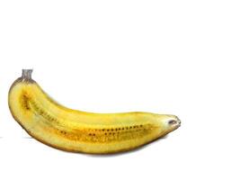 Half banana insulated. Ripe yellow banana on a white background. Fresh fruit with copy space photo