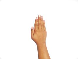 Human Hand signing stop. Stop hand gesture isolated on white background photo