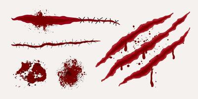 Cuts and wounds of various shapes, bullet marks, splashes and drops of blood. Scratches from wild animals, scary elements for Halloween. vector