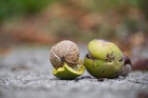 Detailed image of assorted nuts and seeds resting on rustic ground, highlighting textures and natural colors photo