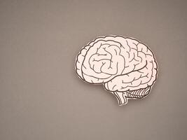 Brain shape made from paper on a gray background photo