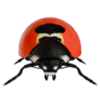A ladybug with a black face and red body png