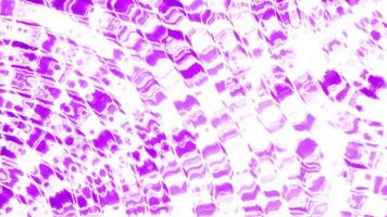 Abstract neon waves animation, waves background motion graphic, vibrant looping, abstract background footage video