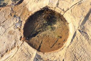 Tide Pool On A Rocky Surface With Small Marine Plants And Algae Forming A Circular Shape photo