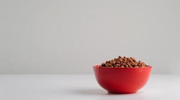 A vibrant red bowl sits on a solid white surface, filled with dry cat food ready for feeding. The scene conveys a sense of care and preparation for pets photo