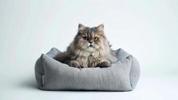 This stylish gray cat bed features a plush design, providing a comfortable resting spot for a beautiful feline. The cat lounges, showcasing its lovely fur and relaxed demeanor photo