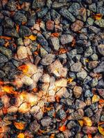 Fill inframe photo, gravel for soil layer with fallen leaves on top. photo