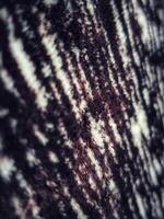 Fill inframe photo, close up of a carpet pattern. Soft fur carpet. Suitable for your home. photo