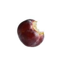 Image of a single apple with a bite taken out of it on a plain white backdrop photo
