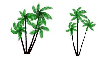 A group of palm trees with an isolated white background vector