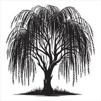 willow silhouette tree style of art vector