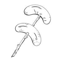 A Stylized Sketch of Various Types of Mushrooms Skewered on a Stick for Culinary Delight. sketch illustration. Food. Tourism vector