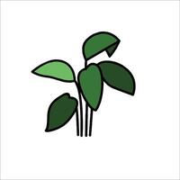 A plant with leaves on it is shown in a simple line drawing vector