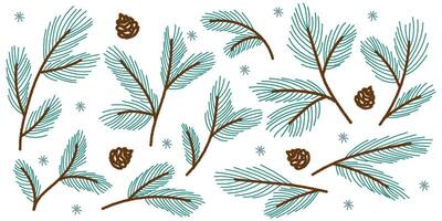 Pine tree branches. Holiday collection of hand drawn colorful doodle elements vector