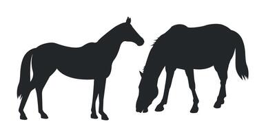 Silhouettes of two horses on a white background. vector