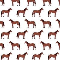 Seamless pattern with a horse on a white background. vector