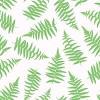 Abstract artistic green leaves fern seamless pattern. hand drawing. Simple stylized leaf stems print on a white light background. Template for designs, textile, fabric, wallpaper, label vector