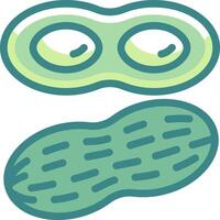A cucumber and a cucumber seed icon vector