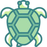 A turtle icon on a white background vector