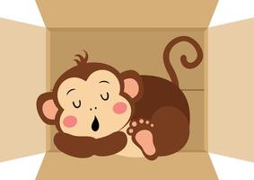 Cute monkey sleeping in cardboard box vector