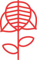 Anthurium Line Multi Colors Icon vector