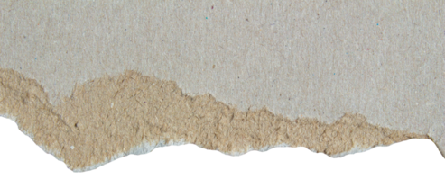 Ripped paper with torn edges with transparent background design element png