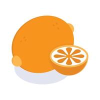 Icon of citrus fruit in modern style, ready to use vector