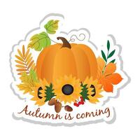 Sticker with autumn maple and sunflower, acorns, rowan, pumpkin on white background. vector