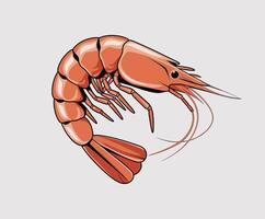 Dynamic Shrimp Silhouette EPS Template Illustration vector